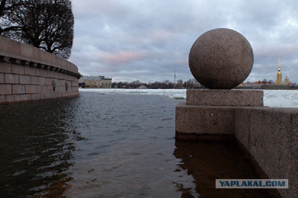 По Обводному каналу в Питере плавает Луна