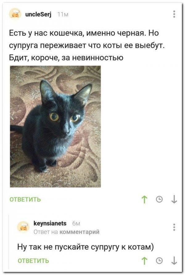 Нестандартный юмор