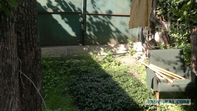 Котовторник 20.03.2012