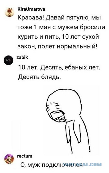 Скриншоты смешных комментариев