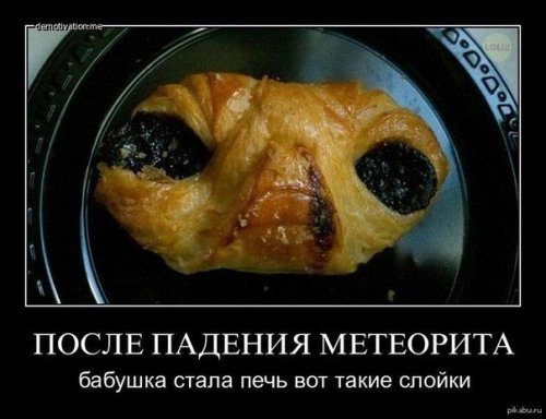 Применим физику в постели или белка и стрелка. Картинки