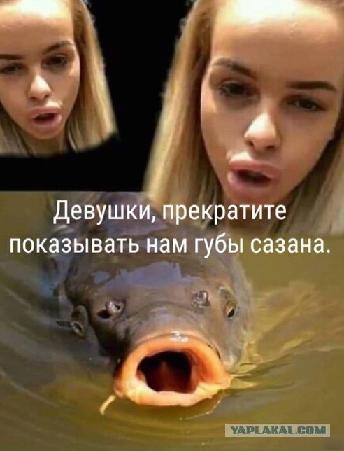 Позорище