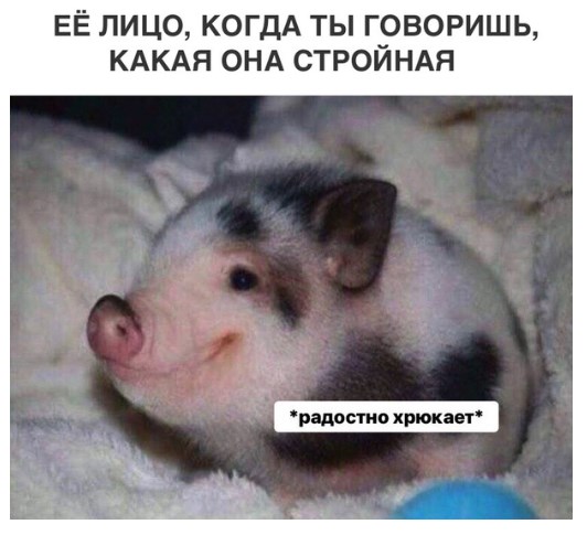 Картинки с претензией на юмор - 7. Пока заключительная