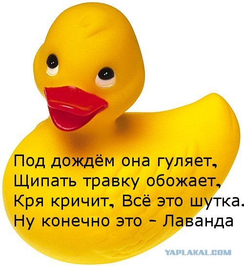 Недетские загадки для ЯПлакалъ