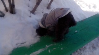 Поиск будущего мужа