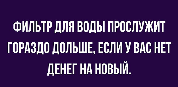 Фотки и картинки: юморные и красивые, забавные и милые 11.11.20