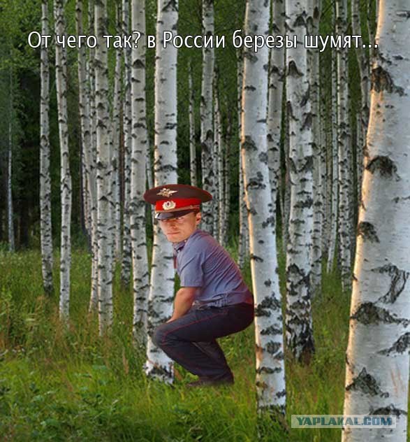 Фотожаба: Неупоротый.