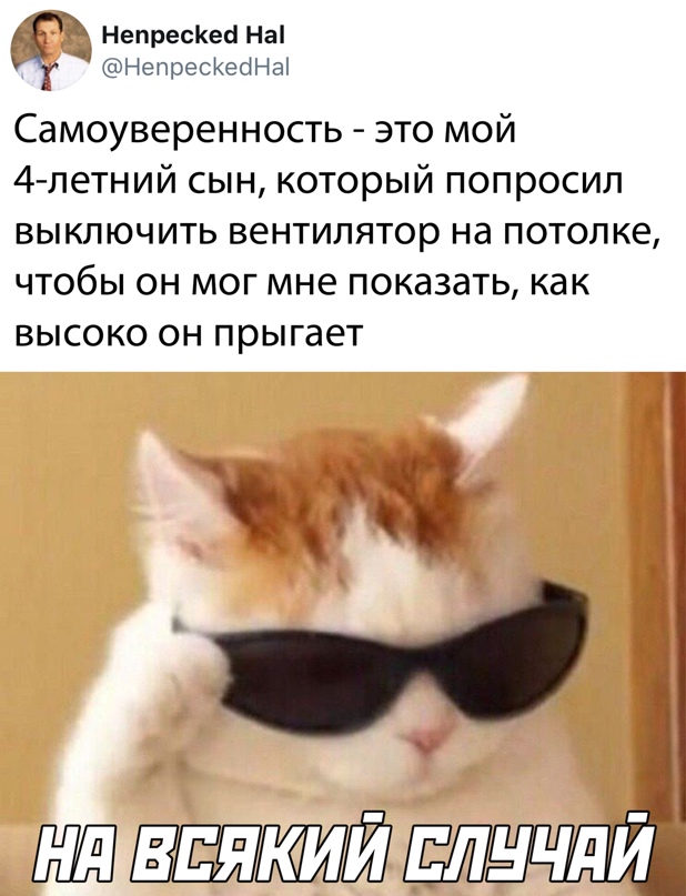 Весёлый полтишок 5.04