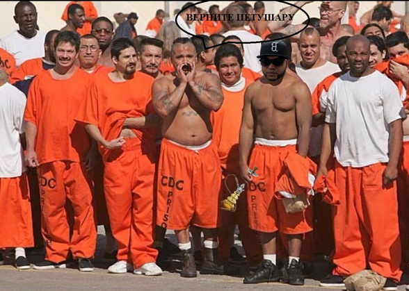 Петербургский депутат в День космонавтики сфотографировался в костюме NASA