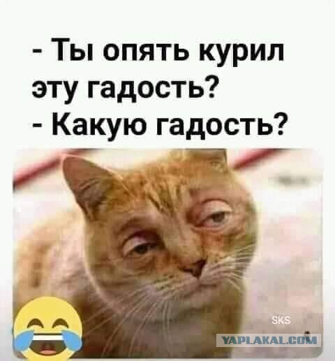 Бредзона 28.06.21