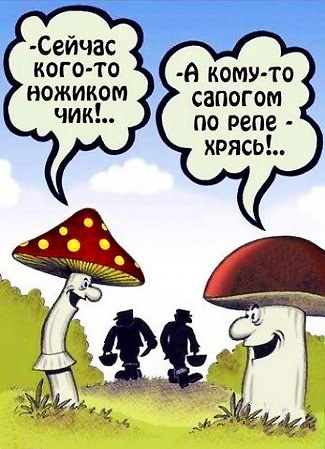 Резать или выкручивать? Наносим последний удар в этой войне грибников