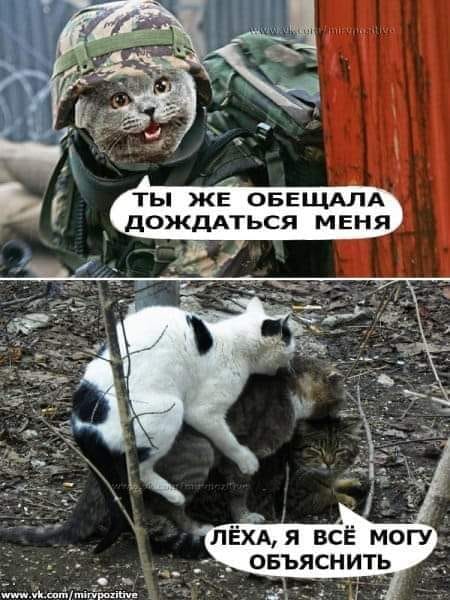 Картинки на среду 03.11.2021. Разные