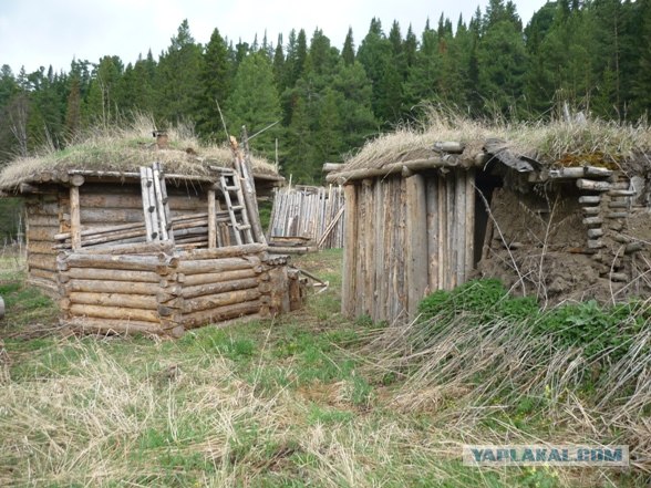 Лесное жилище