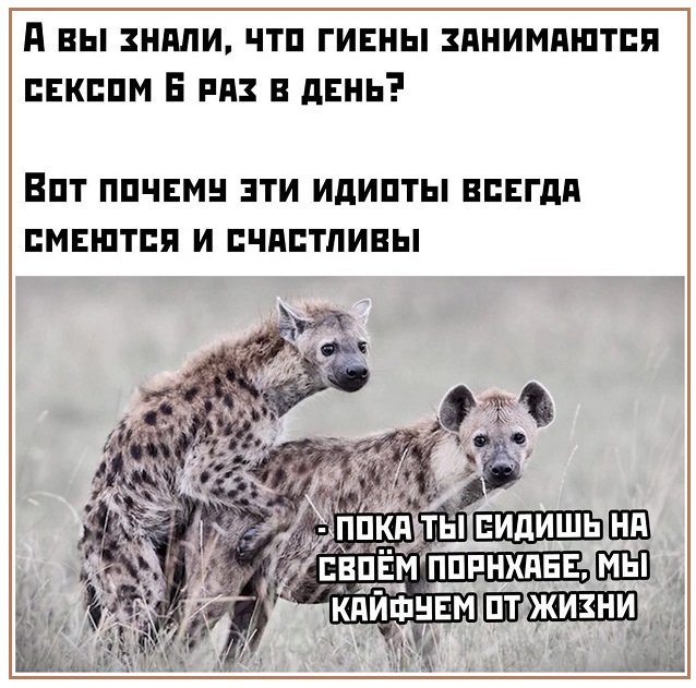 Картинки с надписями и всякие жизненные фразы