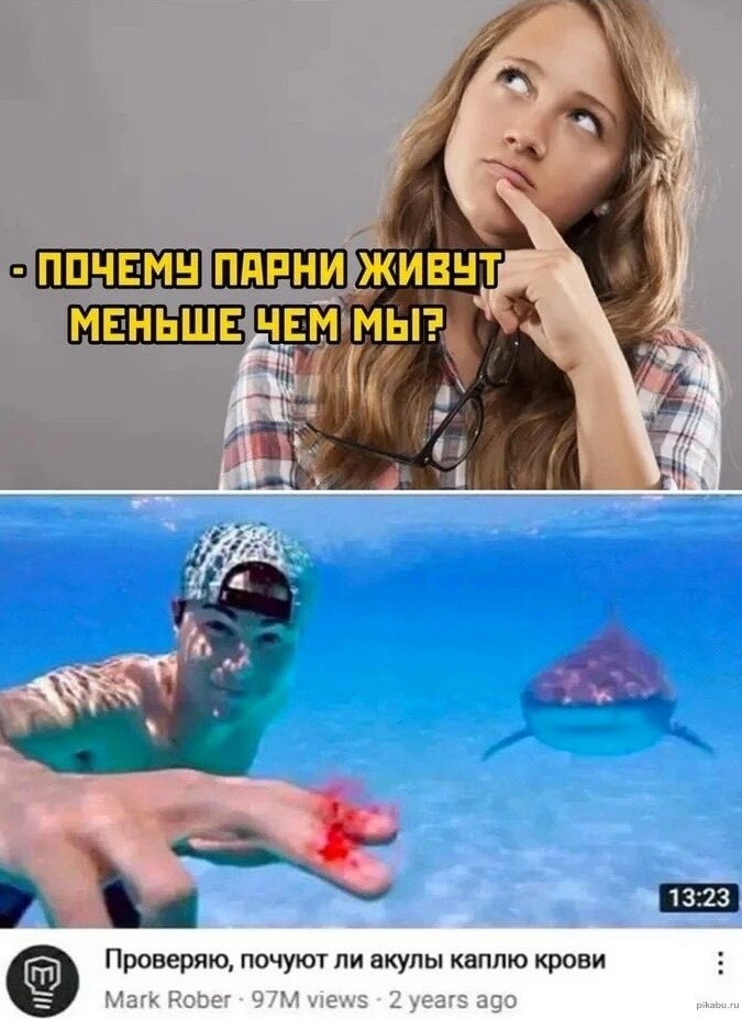 16829642.jpg