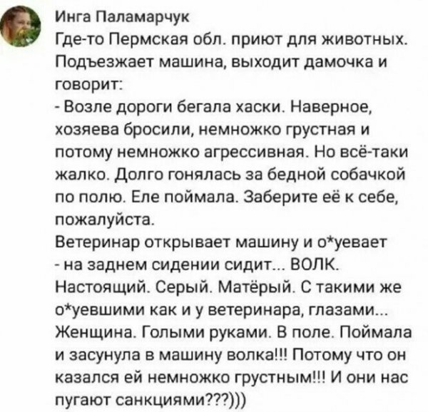 Прикольные и просто красивые картинки 22.06.2022