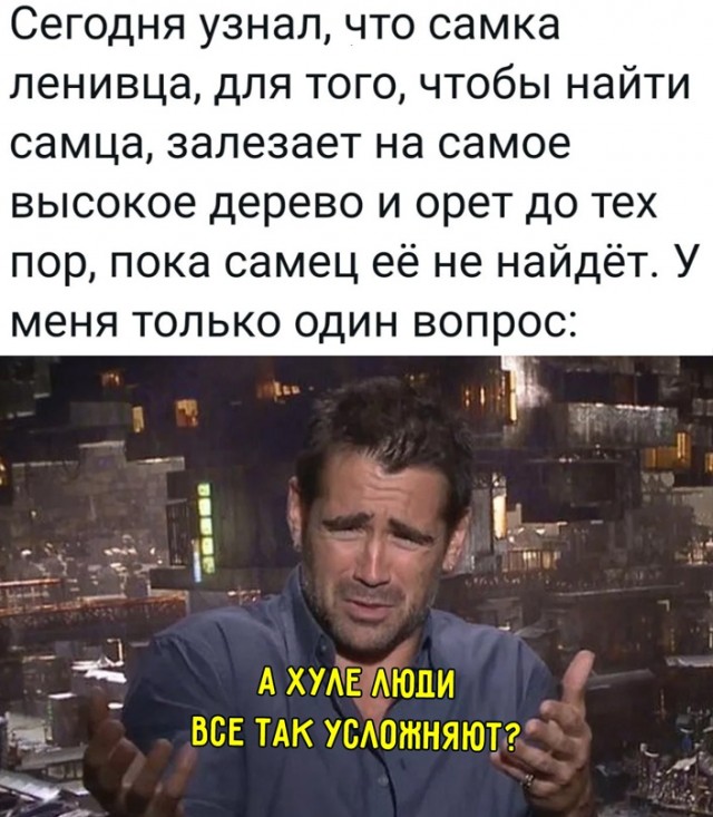 Пандемия съехавших крыш - разновидности болезни. Россия и мир. Часть 41.