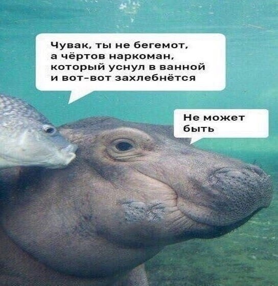 Воскресная наркомания, для деградантов