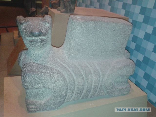 Америка для начинающих