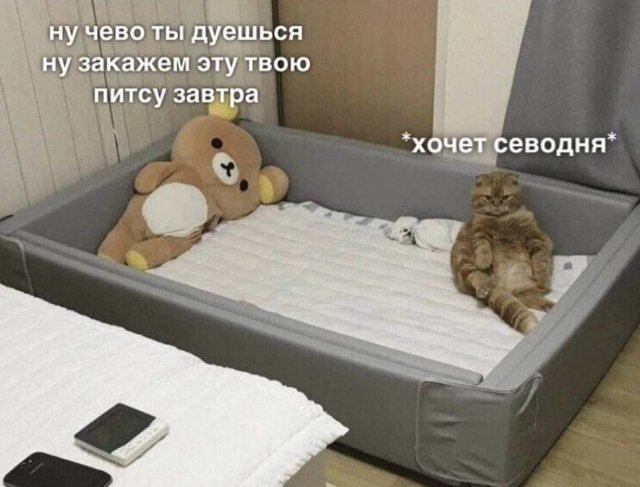 Немного картинок для настроения - 137