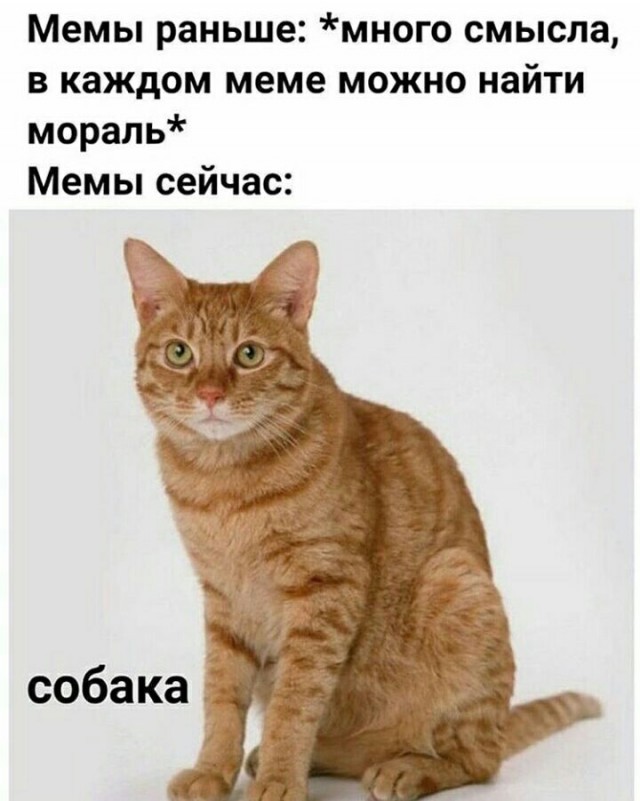 Немного картинок для настроения