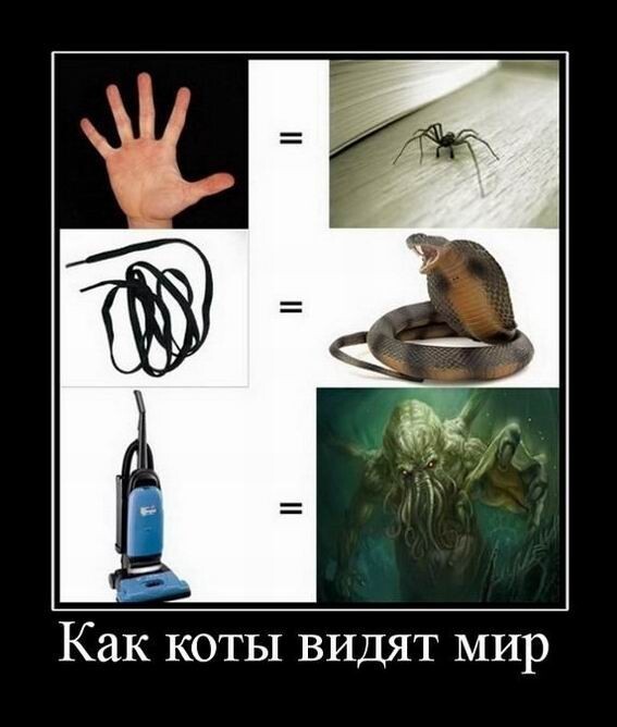 Картинки с надписями 15.01.23
