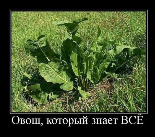 Картинки с надписями 09.04.23