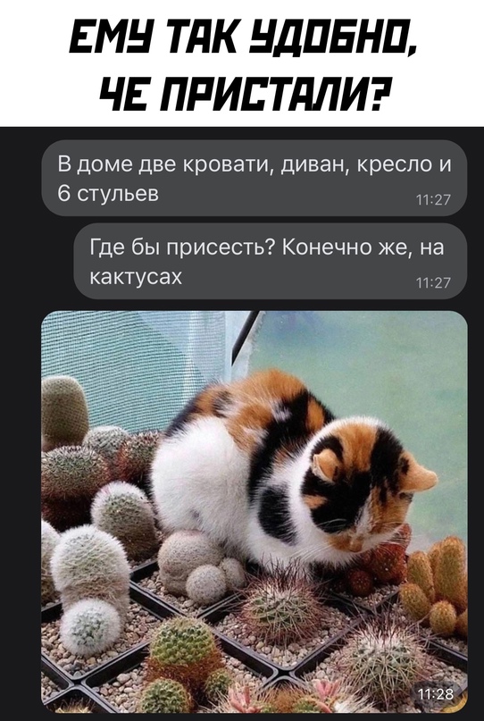 Картинки и мемы, это май-чародей всяко разно - 177