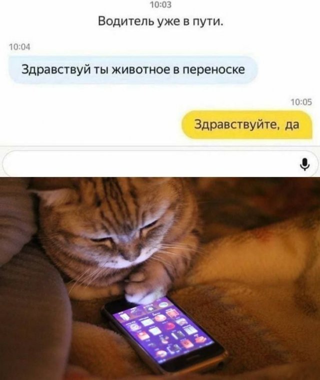 Картинки и мемы, это май-чародей всяко разно - 177