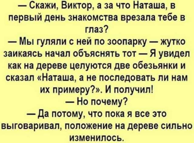Весёлый полтишок 01.11.23