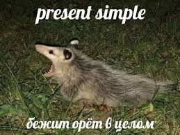 У собакена жизнь не будет прежней