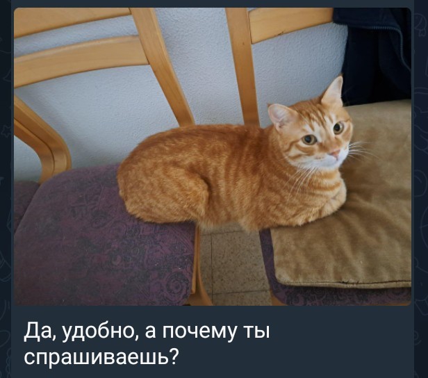 Всего понемногу. От 27.05