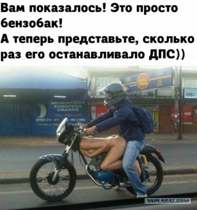 Так себе картинки 22.08.24