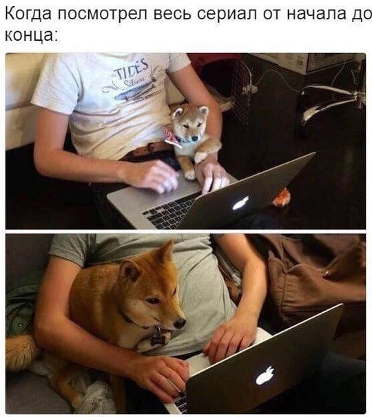 Завалялось тут случайно немного забавных картинок