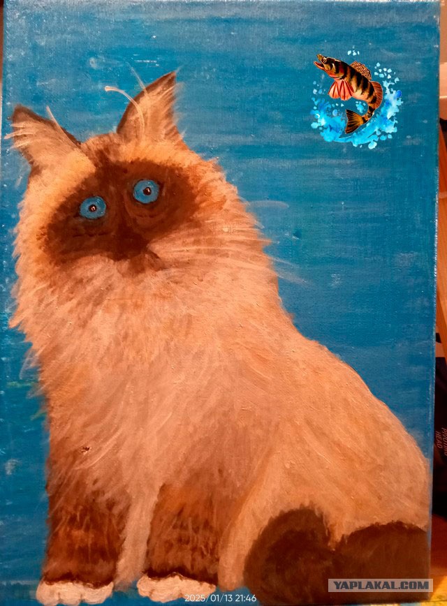 Вот такой котовторник