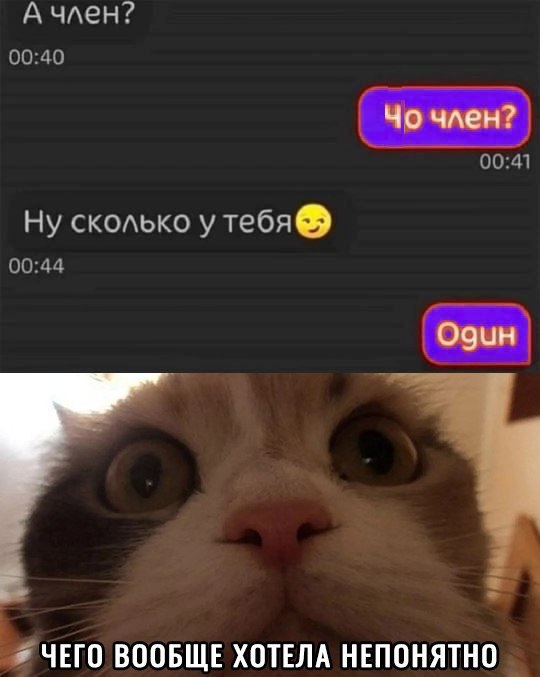 Картинки разные с надписями и без