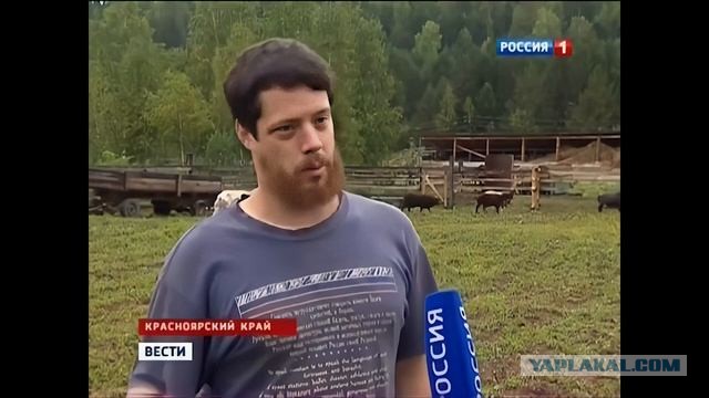 Расслоение общества по доходам