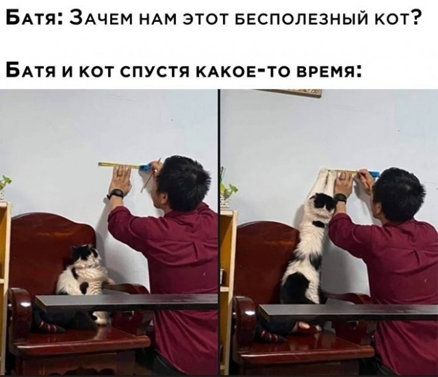К котовторнику: подборка картинок-баянов с котиками и про котиков. Выпуск 5