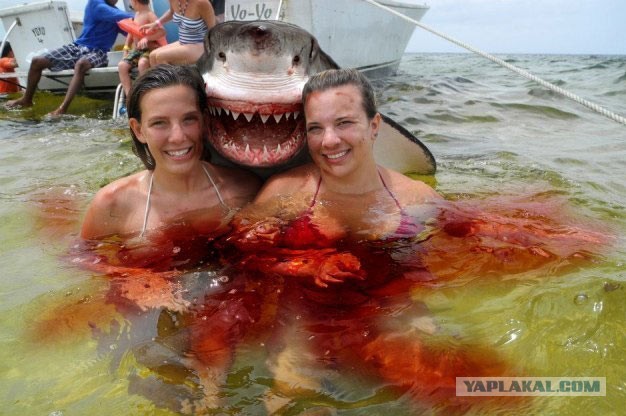 Дотянуться до звезды