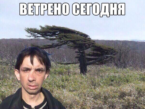Веселое настроение в картинках (15.07.2025)