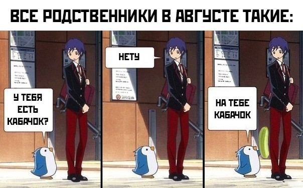 Про кабачки