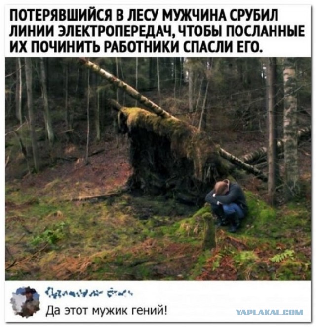 Так себе картинки 02.09.25