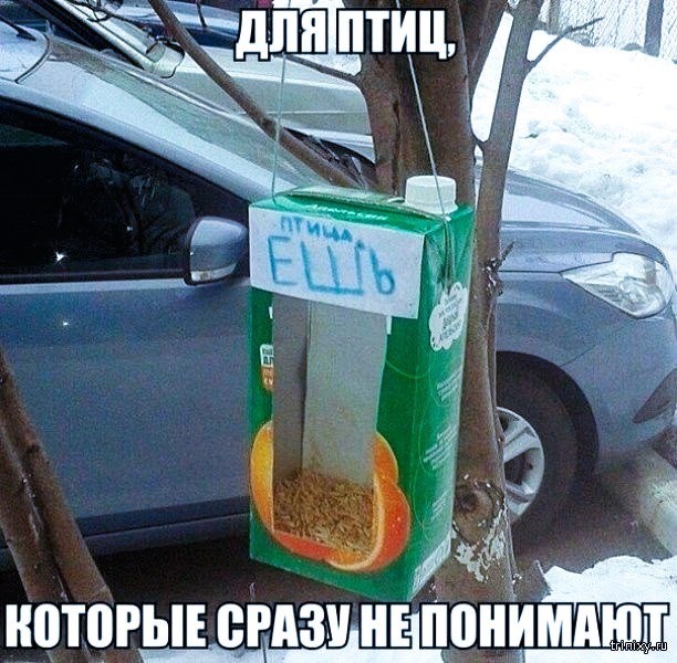 Среды картинки
