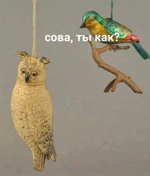 Кто Сову обидел?