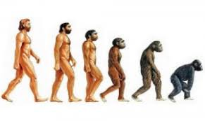 На злобу дня...