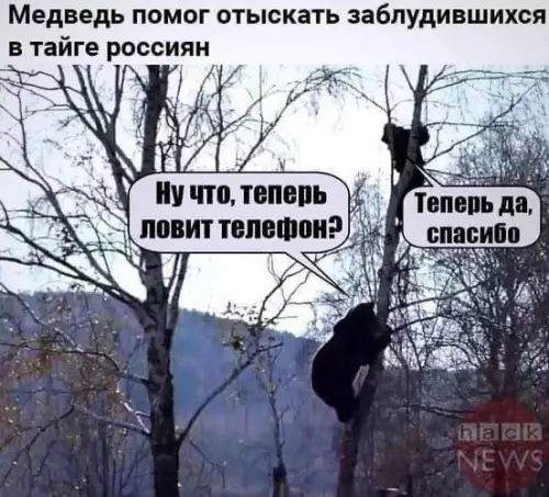 Картиночки, баянчики 21 февраля