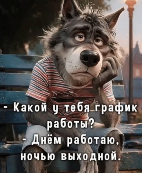 Так себе картинки 20.07.26