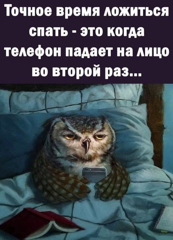 Картинки для деградации 250 (разной степени свежести)