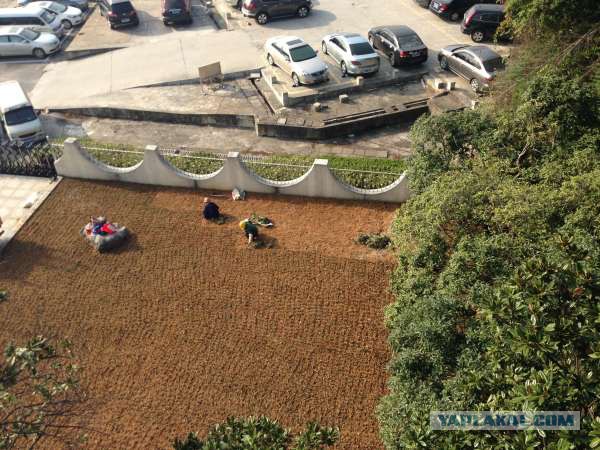 Очередное путешествие в Китай