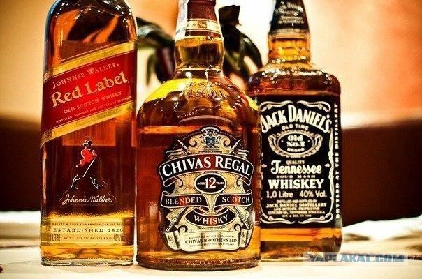 Всемирный день ПОДХАЛИМА